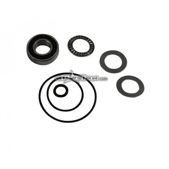 Blowsion Steering System Rebuild Kit