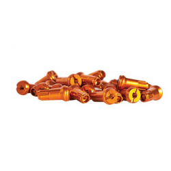 Rear Spoke Nipples Kit